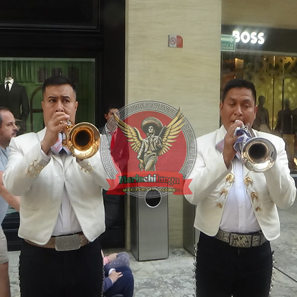 mariachis en Coyoacán