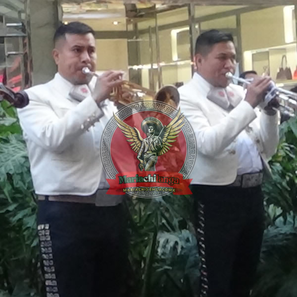 mariachis en Gustavo A. Madero