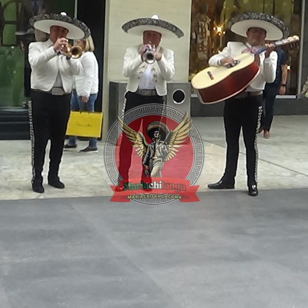 mariachis en Tlalpan